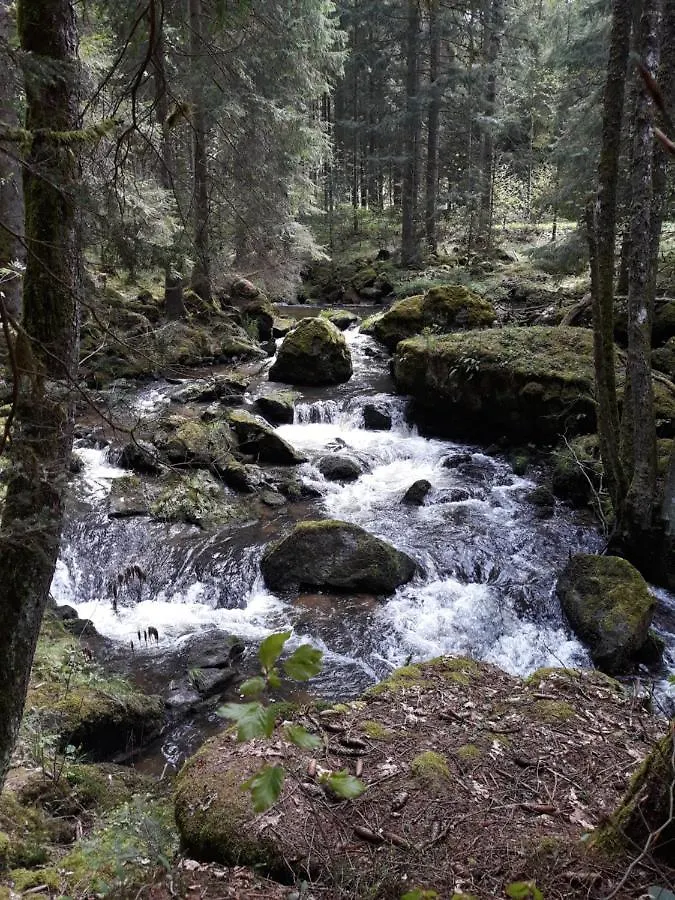 Anno - Die Wohlfuehl - Idylle In Gruenbach_Kirchdorf Kirchdorf im Wald